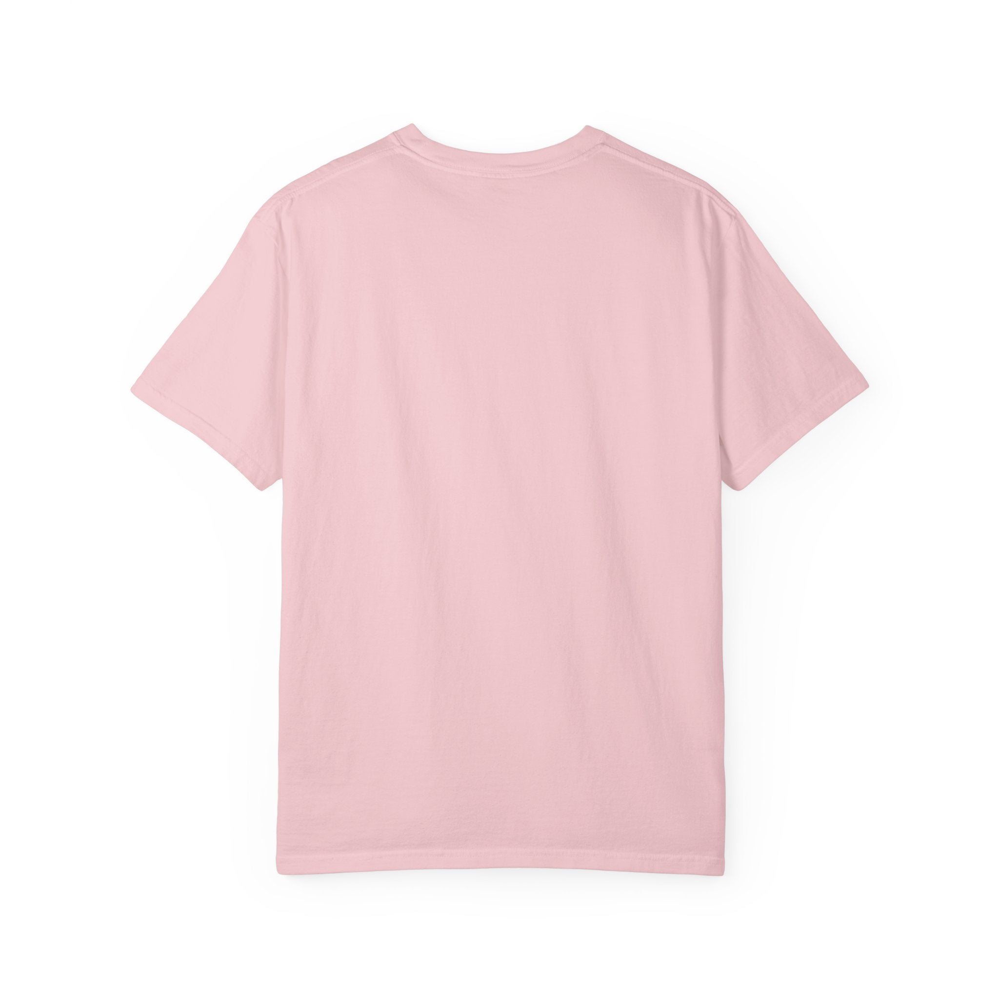 SJ Bears Theater - Pink Bears