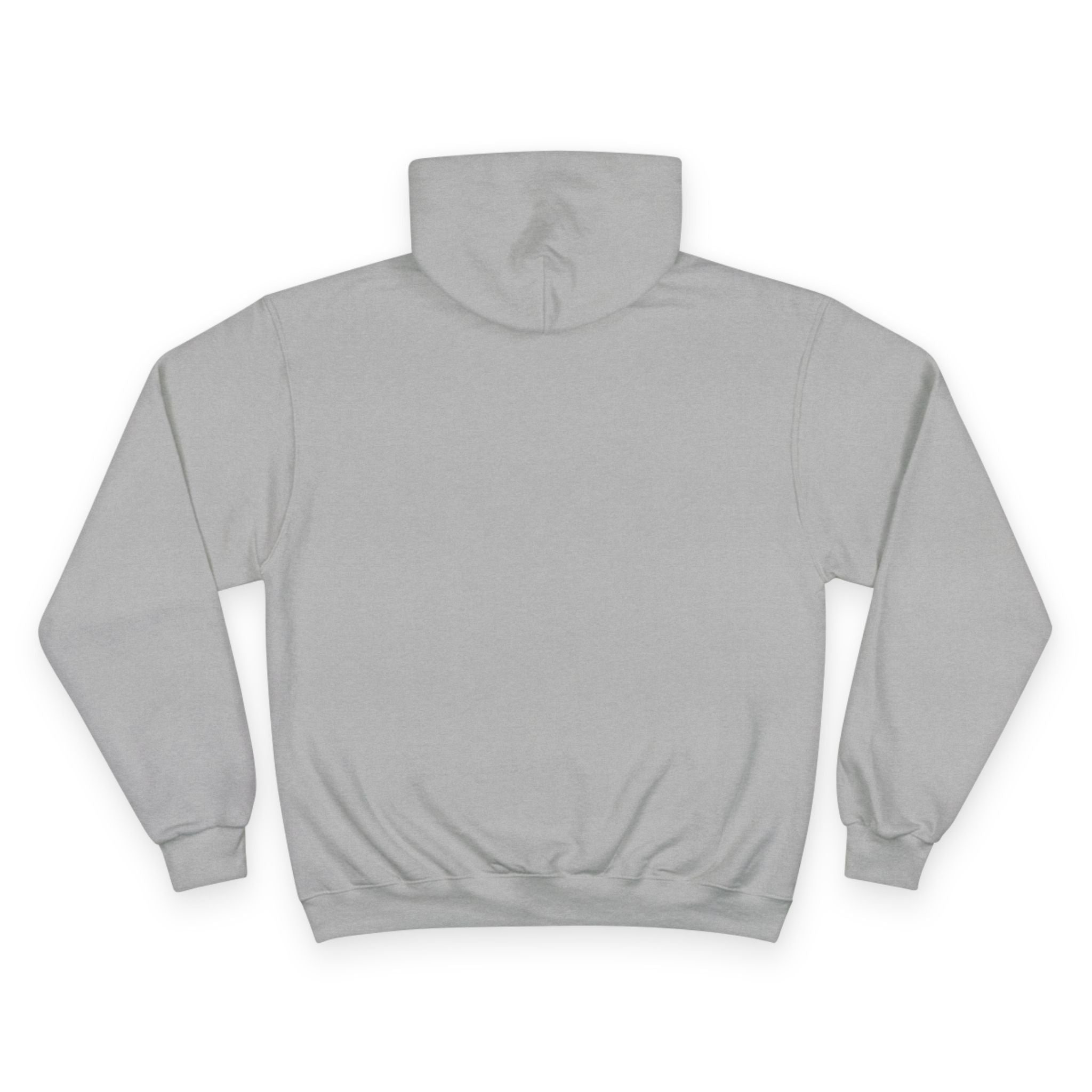 SWVB - Champion Hoodie Light Steel