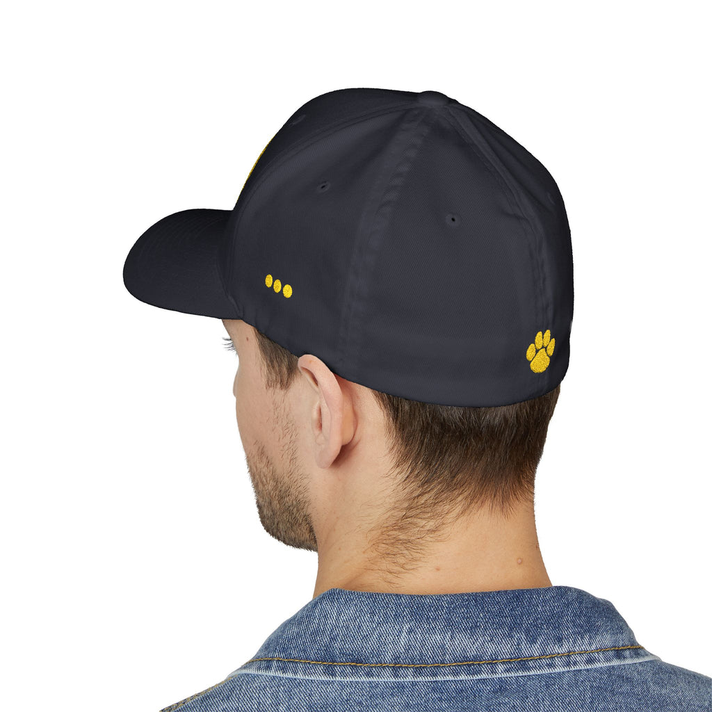SJ Bears - Embroidered Closed-Back Cap