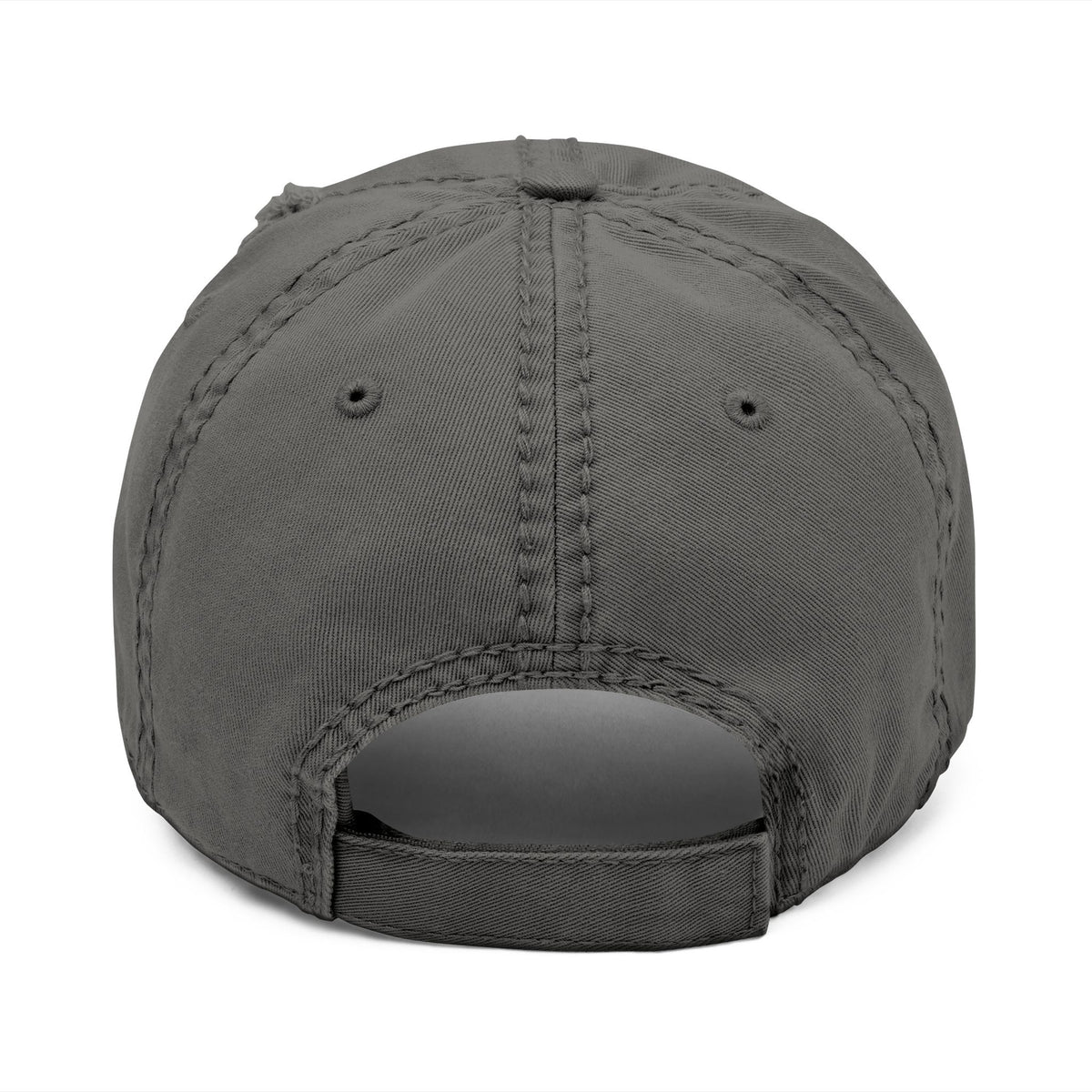 Distressed Embroidered 'Bears' Dad Hat — Vintage Collegiate Cap
